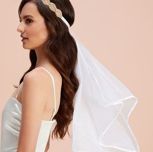 Bridal engagement bachlorette Veil headpiece